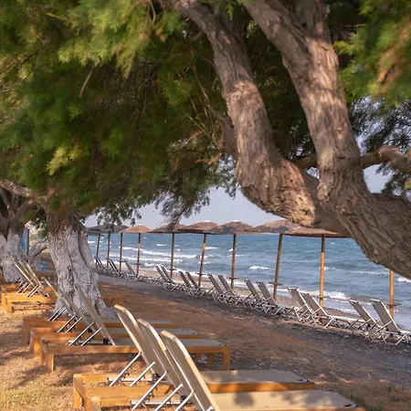 Hotel Costa Angela Seaside Resort Kos-Stadt
