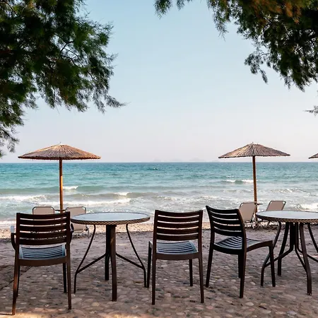 Costa Angela Seaside 3* Kos